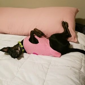 Meet your Posher, Jeanette